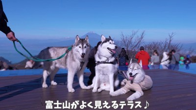 楽しい旅行だったね！！
