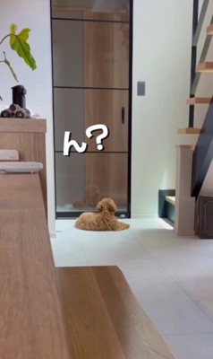 ママさんを待つぷぅと君2