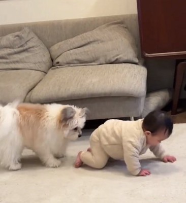 赤ちゃんと小太郎くん