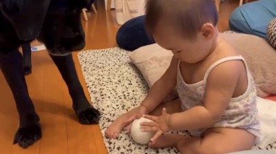 ボールを掴もうとする子ども