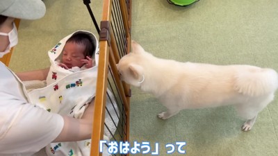 ニオイを嗅ぐと…