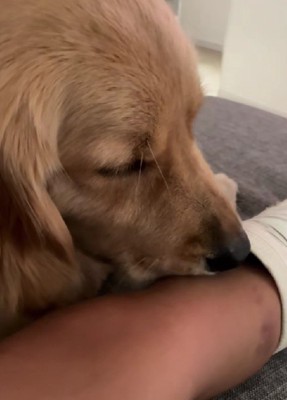 「ごめん、痛いよね…」