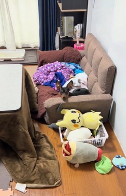 目が合うふたり