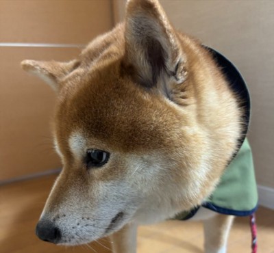 おちゃめな男の子♡