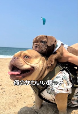 おんぶする犬