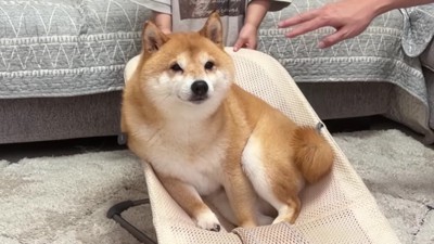 目を細めてうっとり