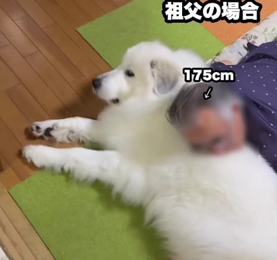 大切な役割を果たしています♡