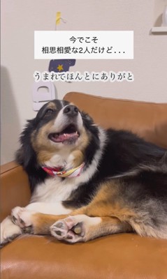 愛を育んできたレアちゃんと男の子2