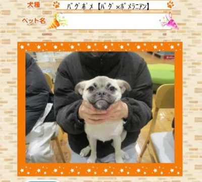 写真を撮ったら…