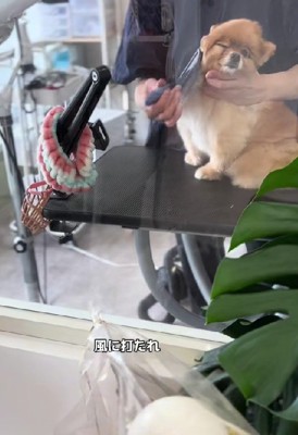 「きもちいいわ~」