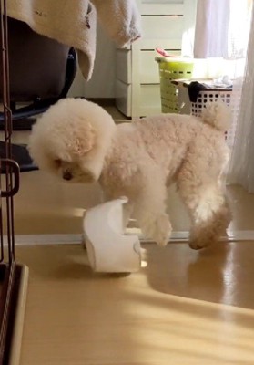 まさかの皿返し!!