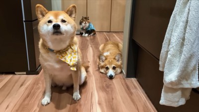 ディス子さんも集合