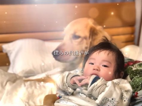 投稿主の息子と大型犬