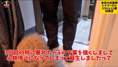 男性と話し込む女性の傍に座る犬