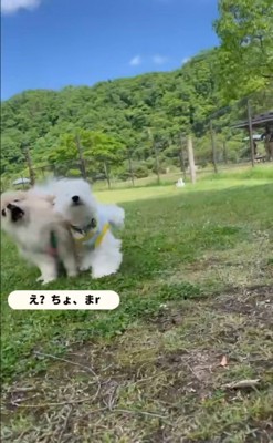 お友達に嫉妬されたむぎ君7