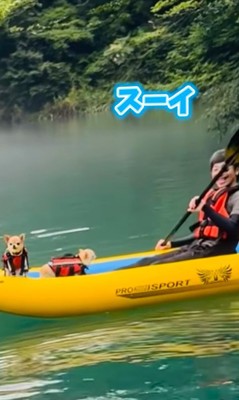 コマさんのハプニング10