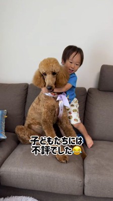 トリミングから帰ってきた犬を抱きしめる子ども