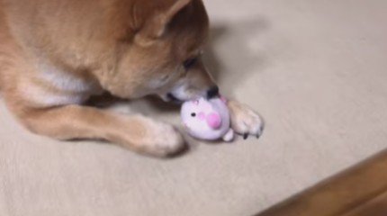 丁寧に扱う朔くんでした