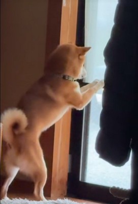 リクくんにハプニング発生3