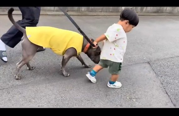 リードを持ちたいしおちゃん