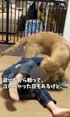 喧嘩をすることも…