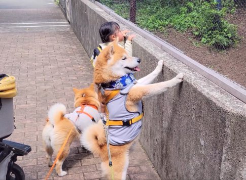 興味津々