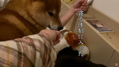 寝室まで一緒に移動