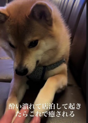 慌てて起きると…