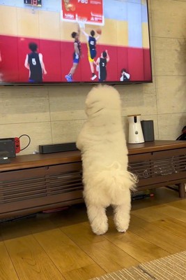 バスケの試合を見ているエマくん