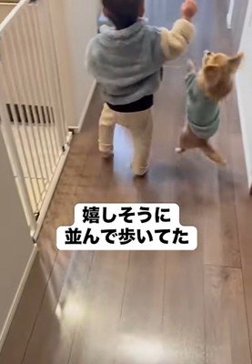 飛び跳ねるハナちゃん