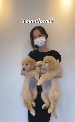 ちあちゃん&ひまわりちゃんの成長