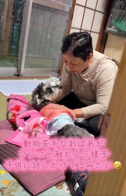おばあちゃんを見るジジくん