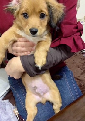 色素が薄い系に変化♡