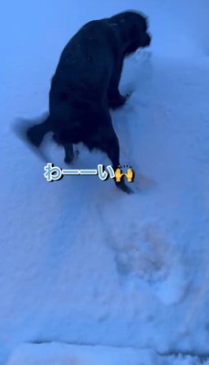 「雪だ～！！」