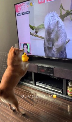 触発されちゃった!?