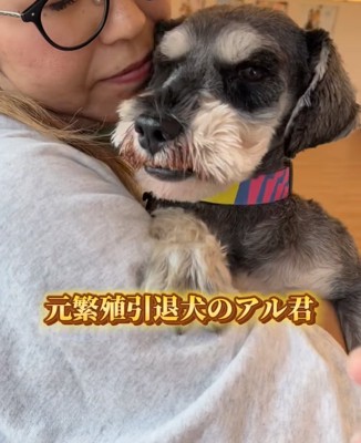 抱っこされる犬