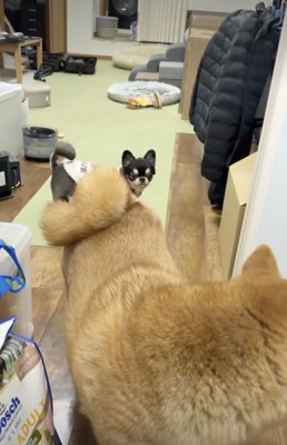 「美味かったで」