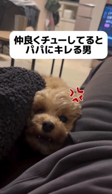 飼い主たちを怒った様子で見つめる犬