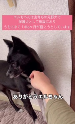 縮まる距離に涙