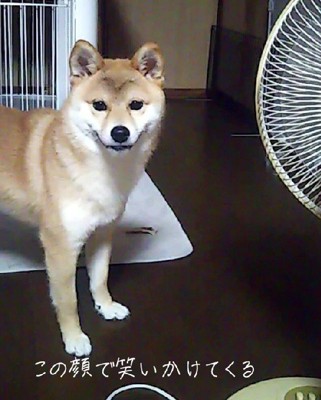 素敵な微笑みにクスッ