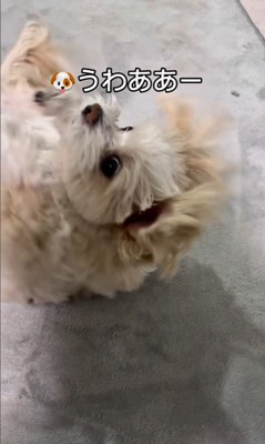 そあまるちゃんにキスしようとした時の反応6