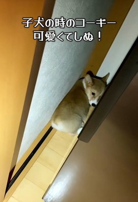 いじけている姿が可愛すぎる♡