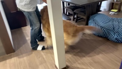 大歓喜のお出迎え♡