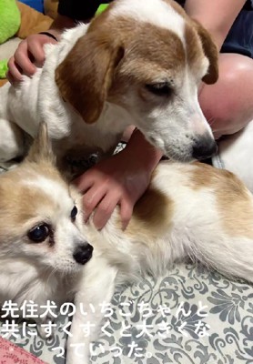 とっても仲良しに!