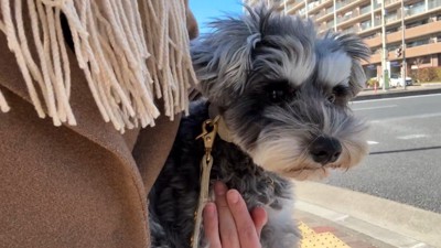 最後は抱っこして病院の中へ