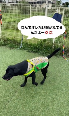 勘違いして怒るカノアくん8