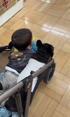 ベビーカーに乗るマウイくんと子どもたち5