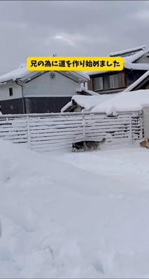道を作り始めた！！