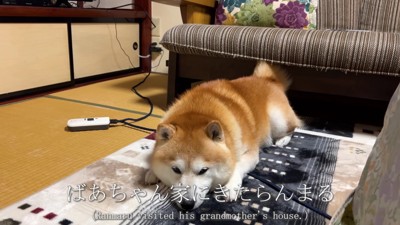 おばあちゃんちへ