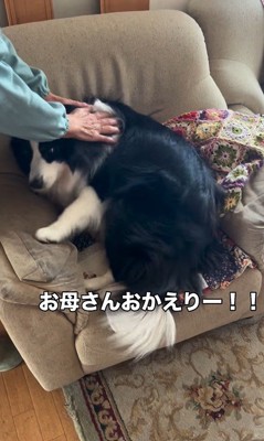 マリちゃんの熱烈歓迎2